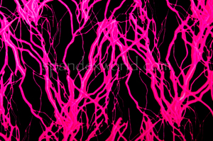 Thunder & Lighting prints (Black/Neon Pink)