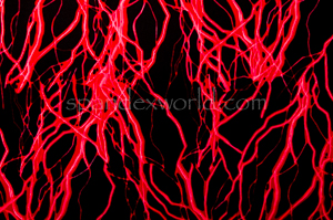 Thunder & Lighting prints (Black/Red)