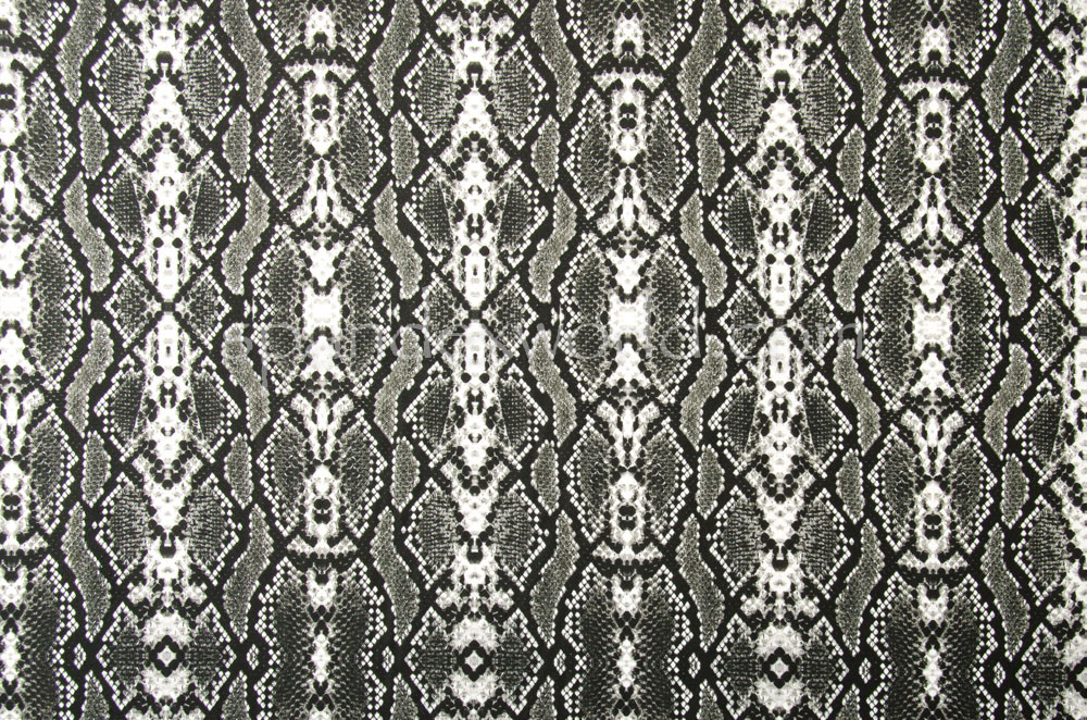 Snake Prints (White/Black)