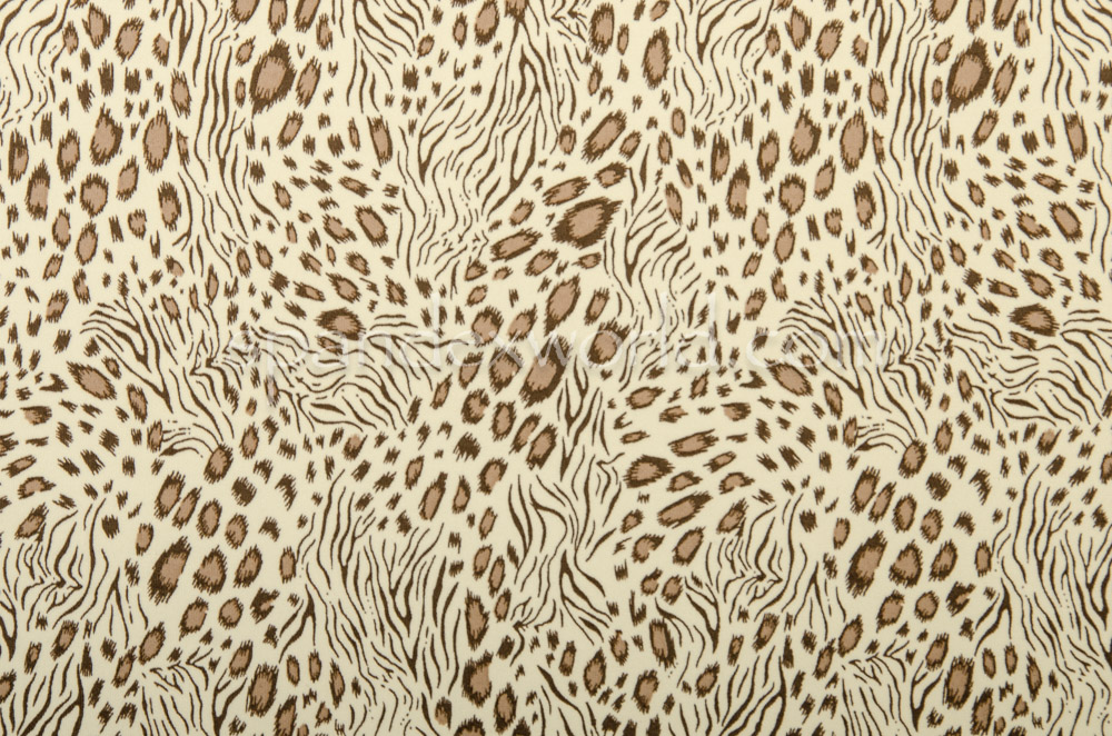 Animal Prints (Ivory/Dark Brown/Multi)