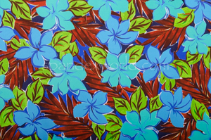 Floral Print  (Brown/Blue/Multi)