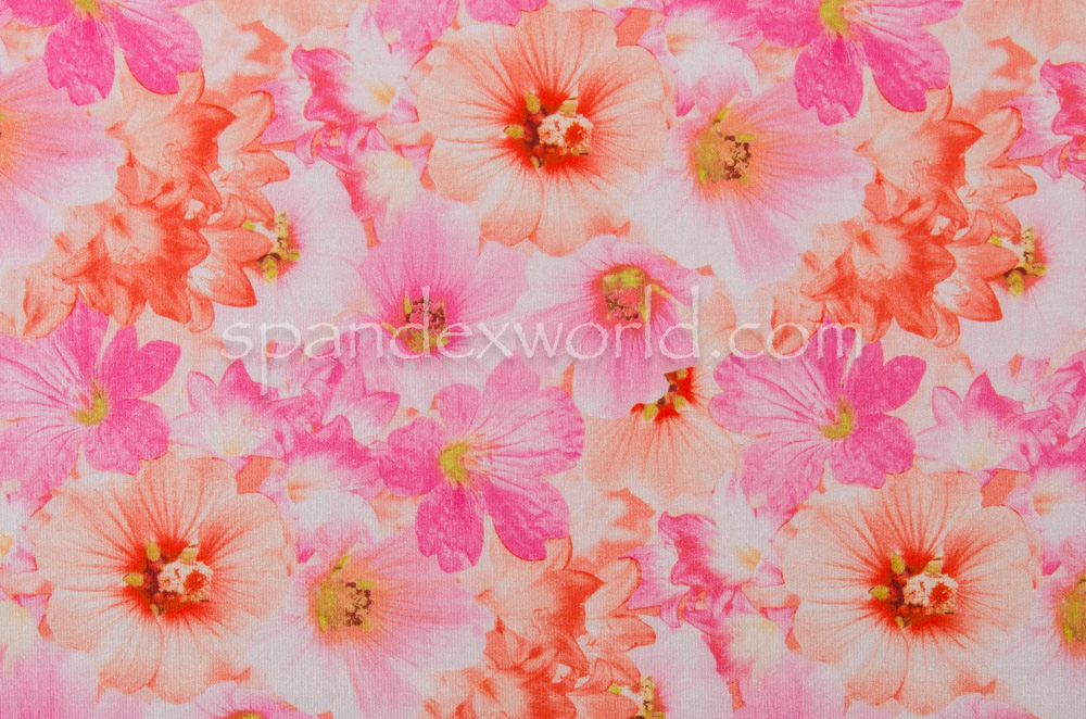 Floral Print (Fuchsia/Pink/Multi)