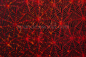 Pattern/Abstract Hologram (Black/Red)