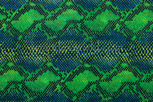 Snake Prints (Blue/Green/Multi)