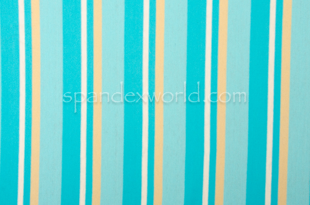 Printed Stripes (Blue/White/Multi)