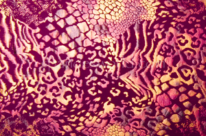  Circular Knit Cheetah Print foil (Burgundy/Black/Tan)