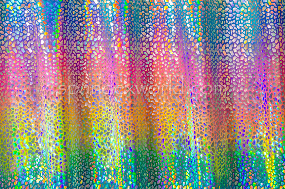 Pattern Abstract  Hologram (Multi Pastel/Silver Holo)