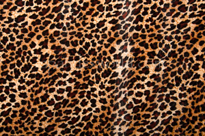 Cheetah Pattern velvet (Black/Brown/Beige)