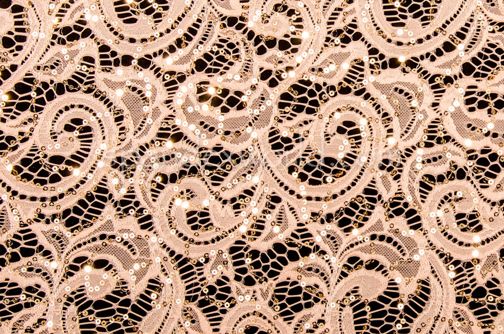 Stretch Sequins Lace (Champagne)