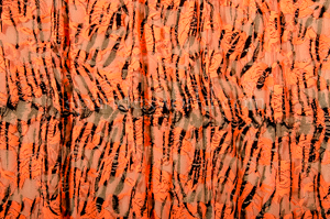 Alternate product image 2