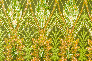 Non-Stretch Sequins(Lime/Gold/Lime Pearl)