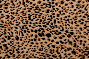 Animal Prints (Cheetah/Rib)