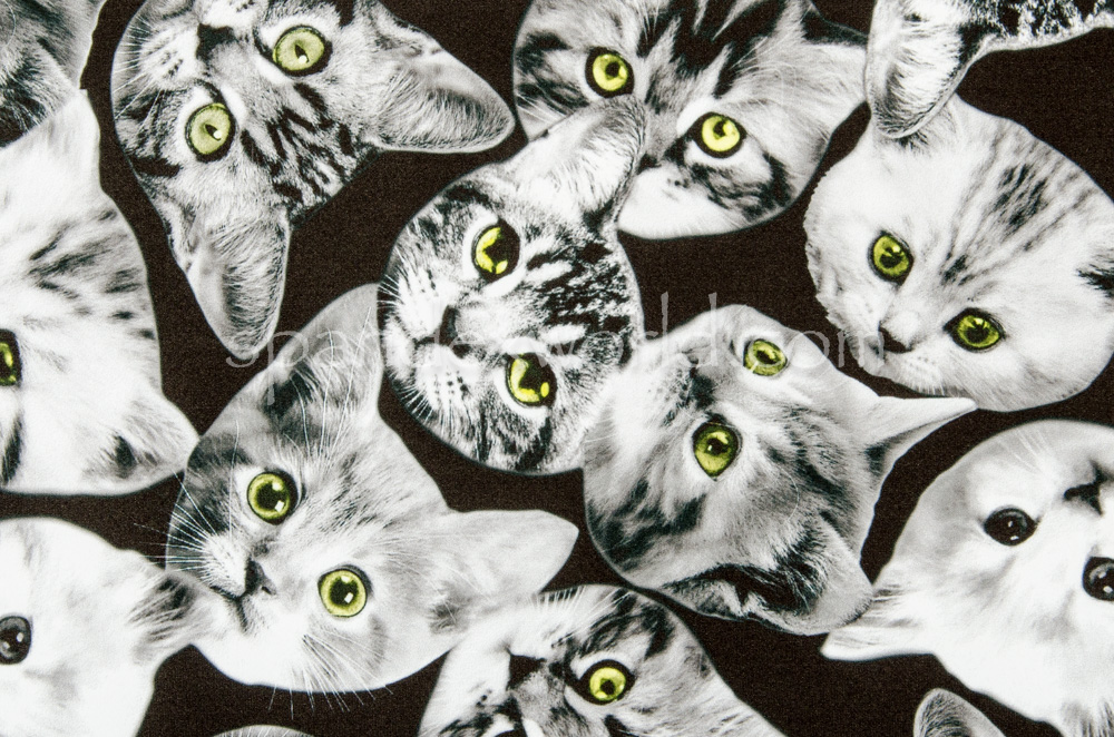 cat face fabric