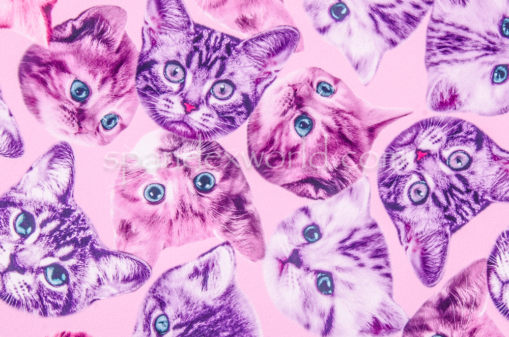 Digital Print (Cat face)