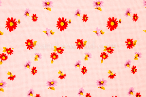 Printed Cotton Lycra® (Pink/Red/Multi)
