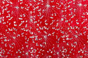 Glitter/Pattern Stretch Velvet (Red/Multi)