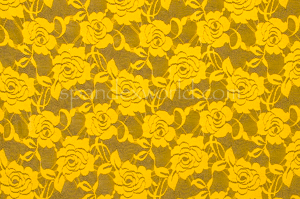 Stretch Lace (Daffodil Yellow)