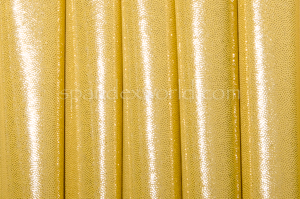 Mystique Spandex-Poly  (Gold/Gold)