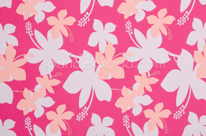 Floral Prints (White/Pink/Multi)