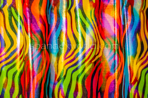 Animal Print Holograms (Rainbow/Multi)