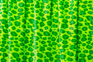 Leopard Pattern Velvet (Lime/Green/Gold)