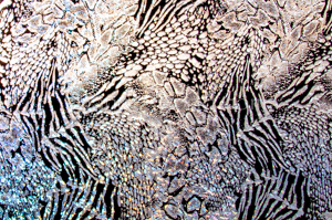 Alternate product image 3
