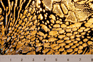 Alternate product image 2
