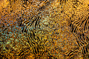 Alternate product image 3