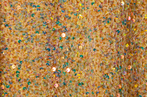Stretch Sequins Velvet (Lt. Gold/Pearl)