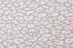 Alternate product image 3