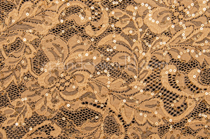 Stretch Sequins Lace(Nude)
