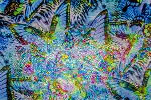 Alternate product image 3