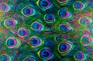Alternate product image 3
