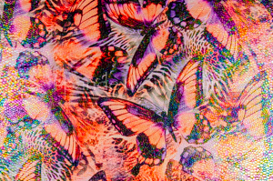 Alternate product image 3