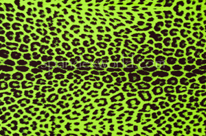 Animal Prints (Lime/Black/Multi)