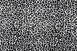 Animal Prints (Gray/Black)
