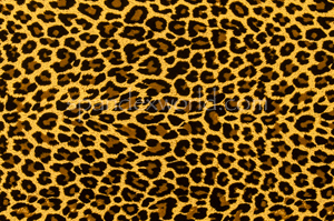 Animal Prints (Brown/Black)