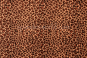 Animal Prints (Brown/Black)