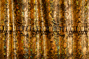 Animal Print Hologram (Black/Gold)