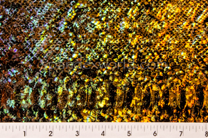 Alternate product image 2