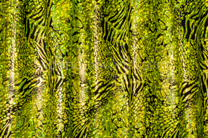 Animal Print Hologram (Black/Olive Green)