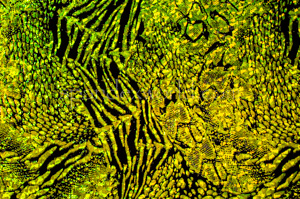 Alternate product image 3