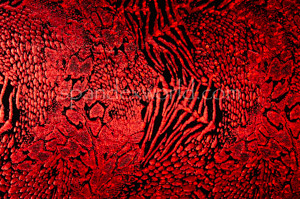 Alternate product image 3