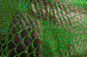 Fish scale Hologram (Green/Silver)