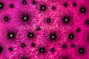 Alternate product image 3