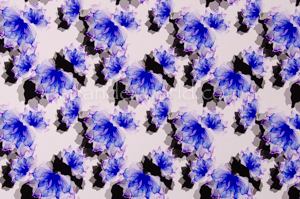 Floral Prints (Blue/Black/Gray/Multi)