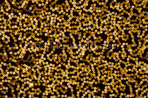 Stretch Sequins (Black/Gold)