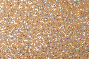 Holographic Stretch Sequins (Tan/Silver Holo)