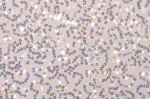 Holographic Stretch Sequins (White/Silver Holo)