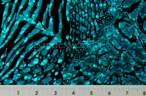 Alternate product image 2